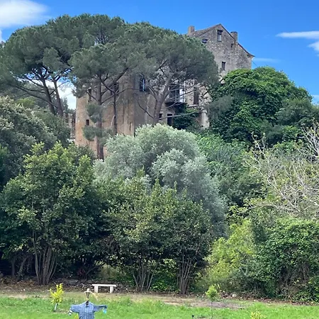 Affittacamere U Farniente Patrimonio