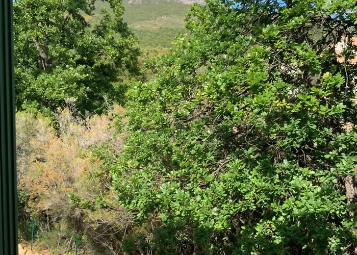 Gasthuis U Farniente 3*