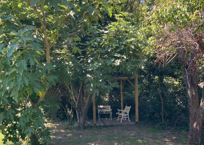 U Farniente Gasthuis 3*